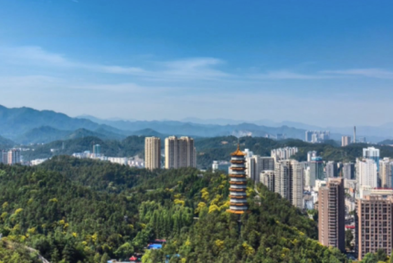 80余名主播大V感受车城文化与水都魅力